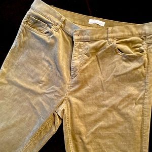 Loft corduroy pine green, modern-skinny, size 14, side zipped pants.
